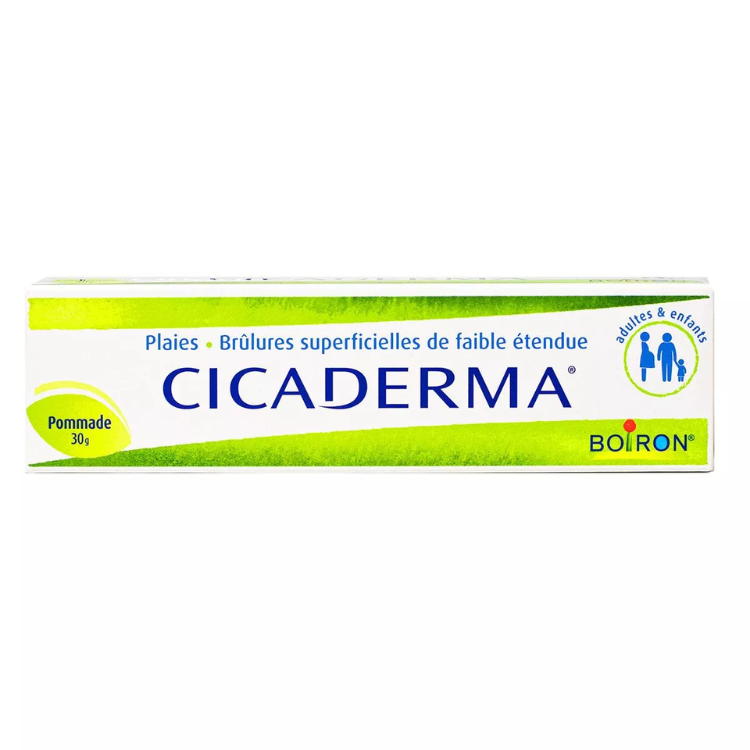 Boiron Cicaderma Ointment - The Power Chic
